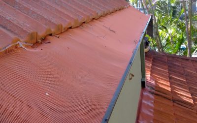 How do to Keep Birds Out of Gutters?
