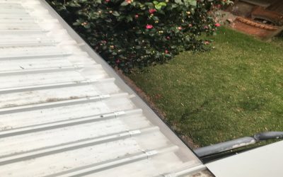 Save on Cleaning & Maintenance Expenses with Gutter Mesh