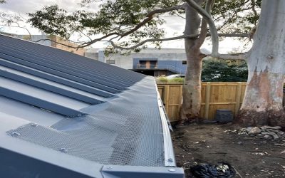 Gutter Mesh in Defense Against Insect-Related Health Issues