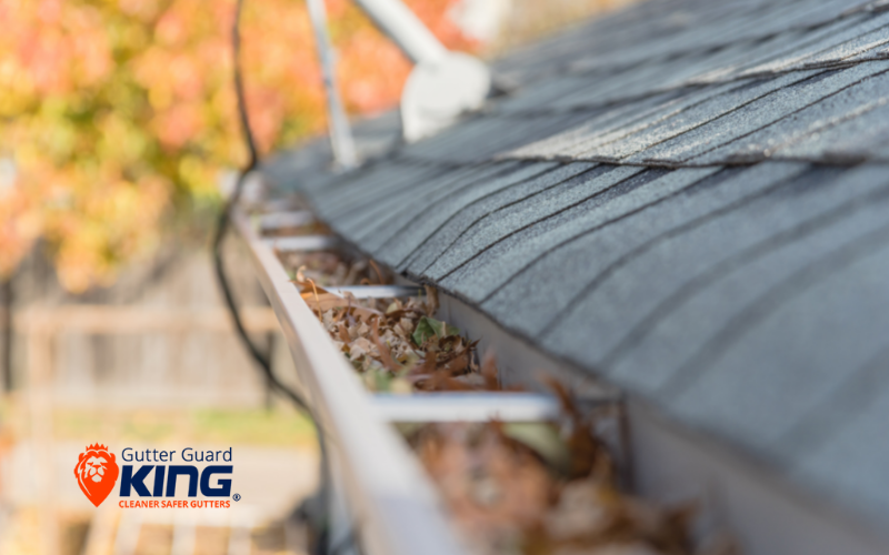 Top Reasons why your Gutters are Blocked ?