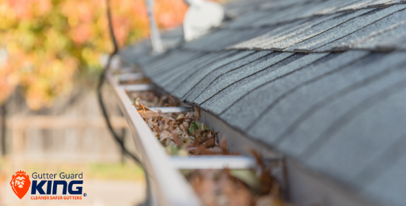 Top Reasons for Gutter Blockage