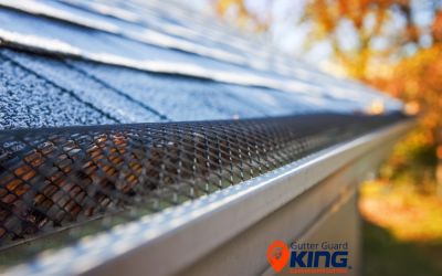 What are the Pros and Cons of Gutter Guards?