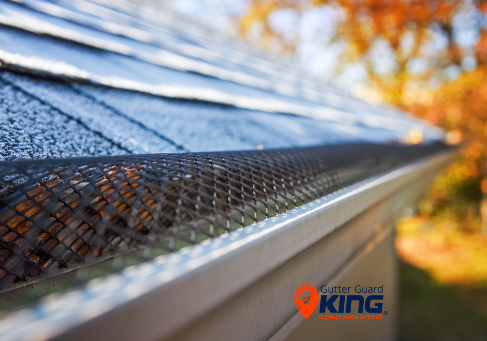 pros and cons of gutter guard